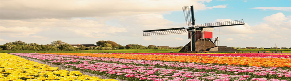 Study in Netherland